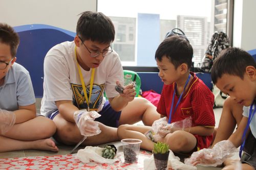 Ấn tượng với trại hè 'Thung lũng cỏ may'
