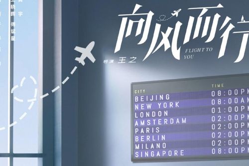 Cục Điện ảnh vào cuộc xem xét vụ phim 'Hướng gió mà đi' phát trên Netflix có hình ảnh 'đường lưỡi bò' phi pháp