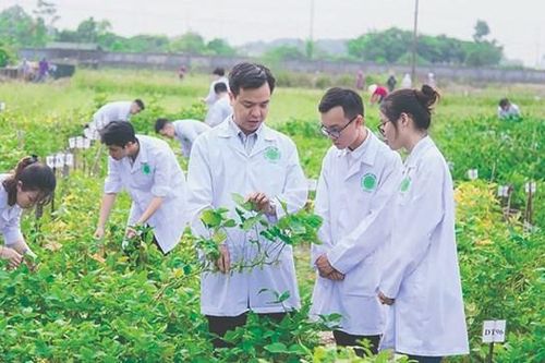 Thu hút thí sinh chọn ngành khoa học cơ bản: Cần giải pháp đột phá