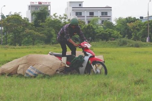 Săn 'tôm bay'