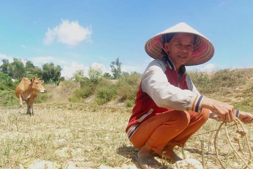 Vùng 'chảo lửa' đồng khô cỏ cháy