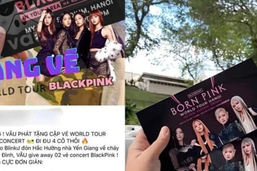 Cảnh báo nạn lừa đảo 'bán lỗ' vé online buổi biểu diễn BlackPink