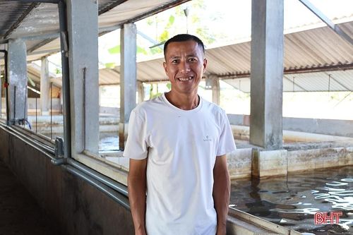 Anh nông dân thu hơn 1 tỷ đồng mỗi năm từ nuôi cá giống