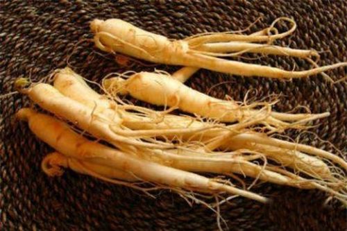 Có nên uống trà sau khi dùng nhân sâm