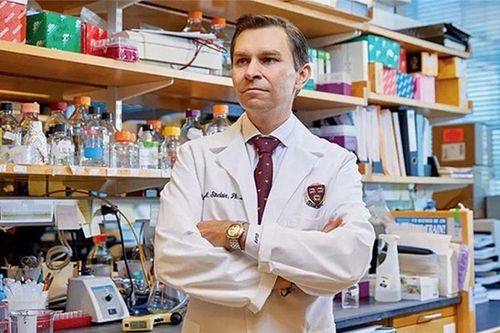 Chuyên gia Đại học Y tại Harvard tiết lộ bí quyết giúp trẻ ra 10 tuổi bằng loại thức uống quen thuộc của người Việt