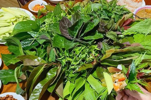 Độc đáo món gỏi lá Kon Tum, thử một lần là nhớ mãi