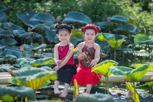 Đôi bạn thân nhí đáng yêu rủ nhau check-in bên hồ sen