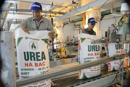 Giá phân ure có thể tăng trở lại nhưng không tái diễn 'sốt nóng'