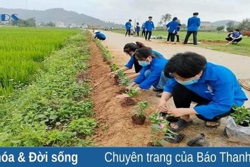 Cảnh quan môi trường nông thôn ngày càng sáng - xanh - sạch - đẹp