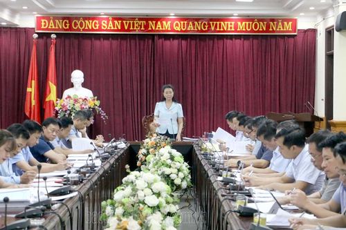 Thẩm tra dự thảo nghị quyết lĩnh vực kinh tế, ngân sách