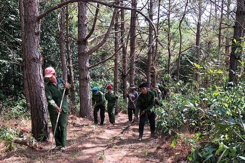 Cộng đồng trách nhiệm giữ rừng