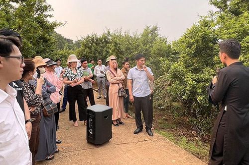 Nâng cao hiệu quả bán hàng nhờ thương mại trực tiếp
