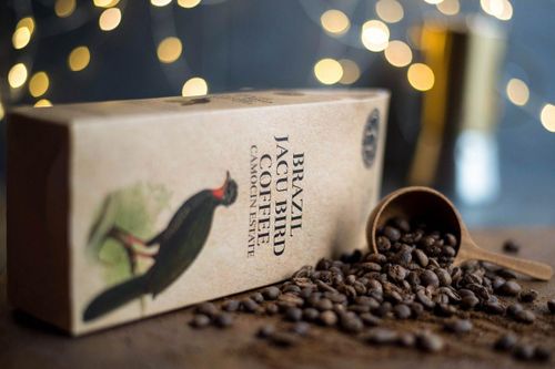 Cà phê phân chim đắt nhất thế giới có giá gần 1 cây vàng