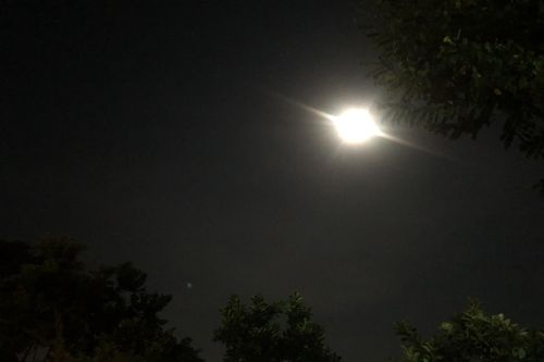 Đêm trắng