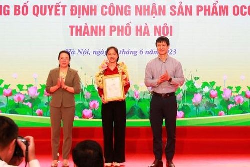 Nâng cấp 'sao' để sản phẩm OCOP vươn xa