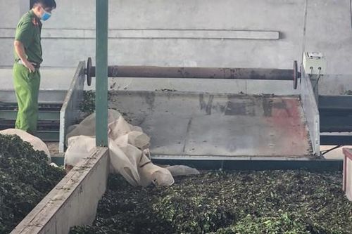 Hòa Bình: Một phụ nữ tử vong trong máy cuốn chè