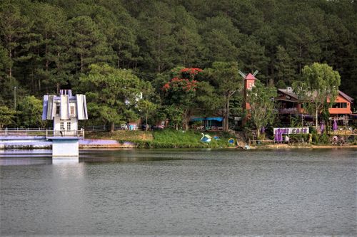 Một công ty xin chuyển 5,3 ha rừng thông Đà Lạt làm khu nghỉ dưỡng