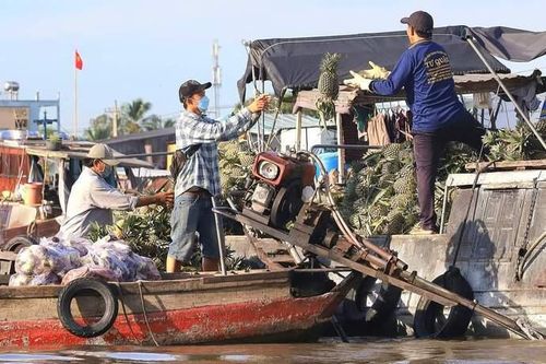 Cần Thơ khai mạc Ngày hội Du lịch 'Văn hóa chợ nổi Cái Răng'