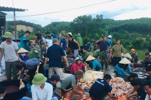 Hơn 5.000 con gà ngạt khí thoi thóp, gần 200 người xắn tay giúp gia chủ giảm thiệt hại