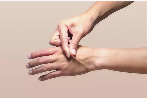 Cơ quan nào nặng nhất trong cơ thể người?