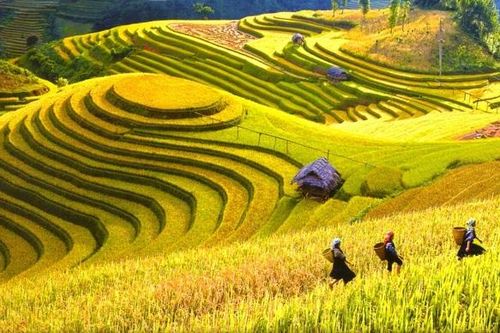 Du lịch Việt Nam được đánh giá cao trên báo quốc tế