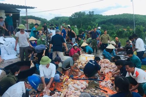 Người dân 'giải cứu' gần 8.000 con gà bị chết ngạt ở Hà Tĩnh