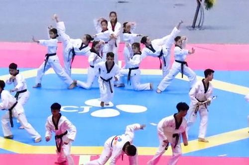 Giải vô địch Taekwondo các lứa tuổi trẻ quốc gia – CJ 2023 lần thứ 3 tại Hà Nội