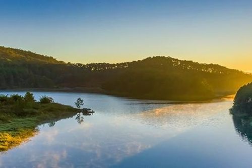 Xin chuyển đổi 5,3 ha rừng phòng hộ Đà Lạt làm khu nghỉ dưỡng