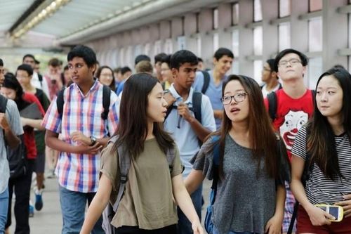 'Làm đầu bếp, sửa điện ở nước ngoài lương cao hơn công chức'