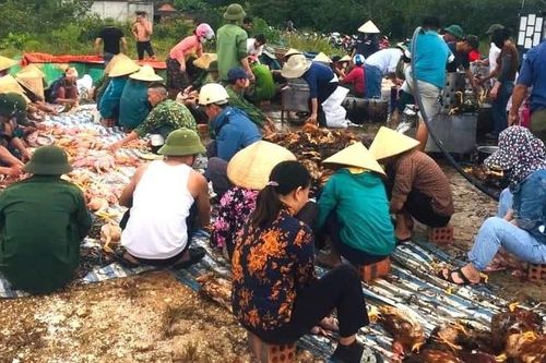 Chủ trại sốc vì 8.000 con gà chết ngạt, cả làng chung tay vặt lông, rao bán giúp