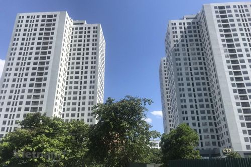 Xu hướng và triển vọng của văn phòng đa thế hệ trong thời gian tới