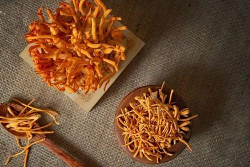 Đông trùng hạ thảo rất bổ nhưng có 6 nhóm người không nên dùng