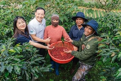 Dự án Café-REDD hình thành hệ sinh thái nông nghiệp số bền vững