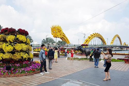 Đà Nẵng: Doanh nghiệp Nhật Bản tổ chức không gian ánh sáng với 500.000 đèn LED