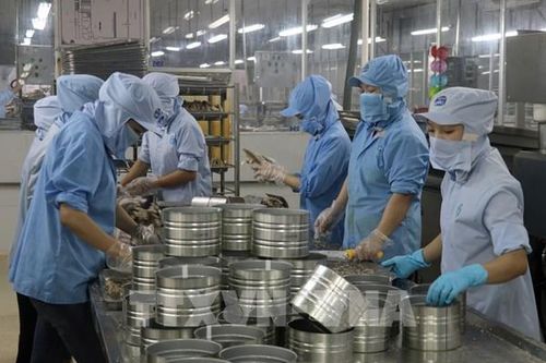 Kiên Giang lập Tổ công tác đặc biệt tháo gỡ khó khăn cho doanh nghiệp, nhà đầu tư