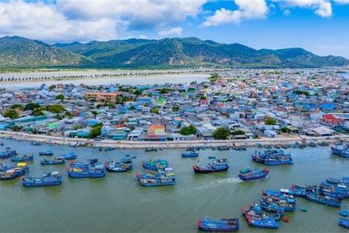 Táo bạo đầu tư vào Cà Ná