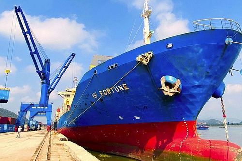 Nghệ An hỗ trợ 300 triệu đồng cho hãng tàu biển xếp, dỡ hàng hóa qua cảng Cửa Lò