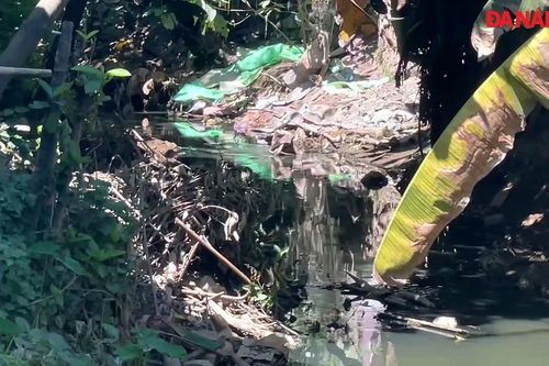 Kênh nước ô nhiễm ảnh hưởng đến đời sống người dân