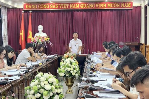 Thẩm tra báo cáo, dự thảo nghị quyết lĩnh vực công tác dân tộc