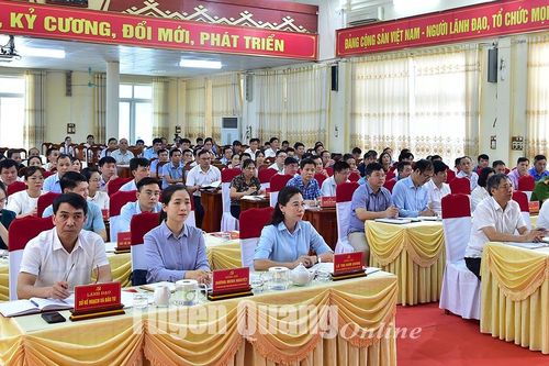 Hàm Yên cần tiếp tục phát huy sự vào cuộc của cả hệ thống chính trị và nhân dân xây dựng huyện nông thôn mới