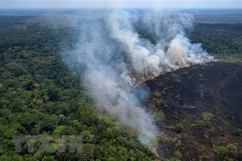 Colombia và Brazil cam kết hợp tác bảo vệ rừng Amazon