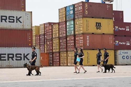 Cục Hải quan Thanh Hóa thu ngân sách gần 9.000 tỷ đồng