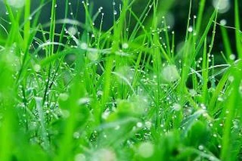 Chùm thơ mới sáng tác của tác giả Vũ Thanh