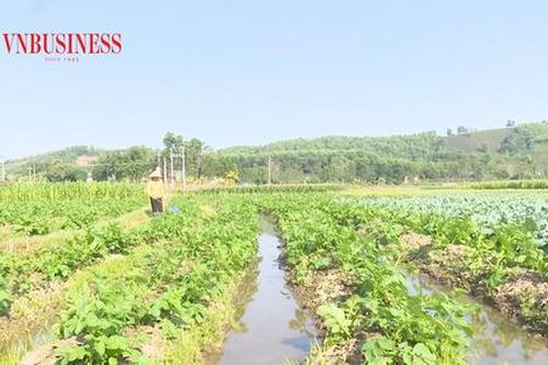 Nông nghiệp Thanh Sơn khoác áo mới nhờ đổi mới sản xuất