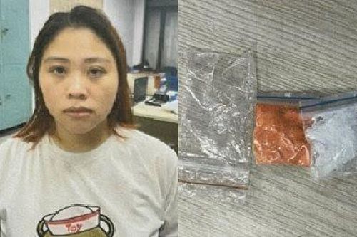 Hà Nội: Khởi tố đối tượng giấu ma túy trong áo ngực để mang đi bán