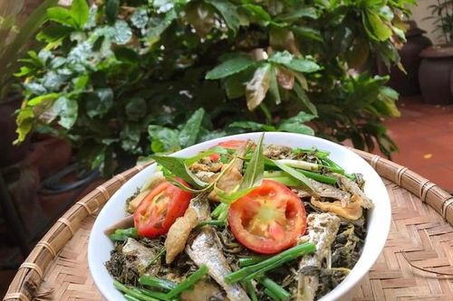 Loại cá rất ngon dù nấu canh hay chiên giòn cứ làm qua 2 bước đơn giản này thì vụng mấy cũng chế biến được thành đặc sản