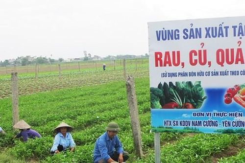 Nam Định: Sau loạt xã nổi trội về giáo dục, văn hóa có xã NTM kiểu mẫu đầu tiên nổi trội về sản xuất