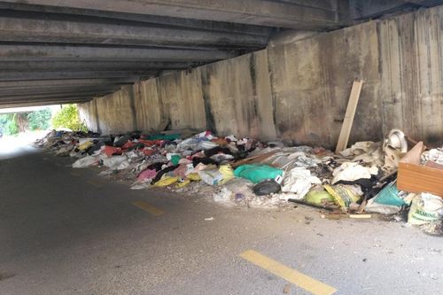 Rác thải 'ngập' khu vực nhà ở sinh viên Pháp Vân - Tứ Hiệp
