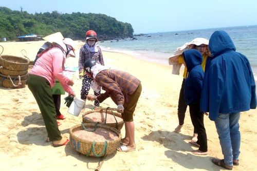 Ruốc vùng bãi ngang ven biển