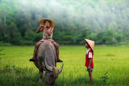 Lưu Quang Vũ: Gió và tình yêu thổi mãi